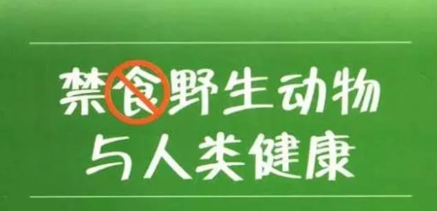 十八禁午夜福利免费网站高清免费