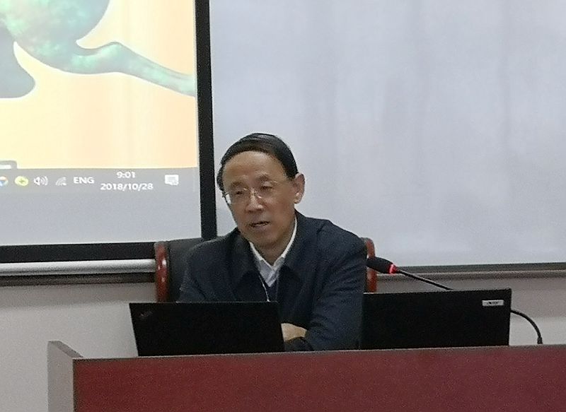 十八禁午夜福利免费网站高清免费