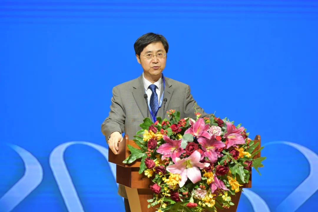 十八禁午夜福利免费网站高清免费